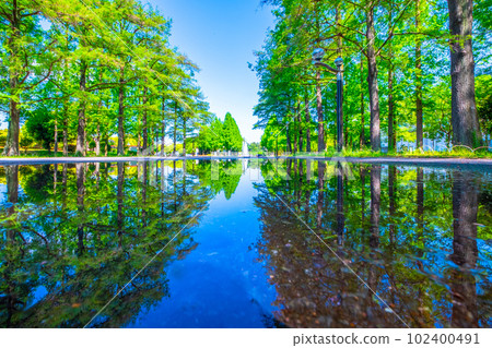 鶴見綠地水鏡林蔭道 102400491