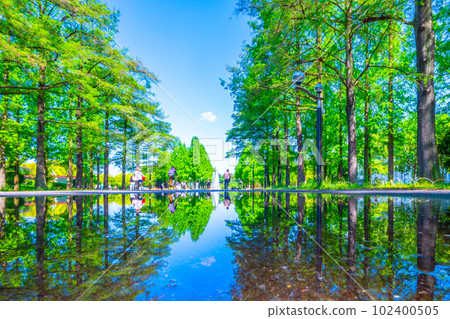 鶴見綠地水鏡林蔭道 鶴見綠地水鏡林蔭道 102400505