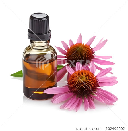 Echinacea oil and echinacea flowers on a white backgrounds. Ai generative. Illustration. 102400602