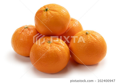 American Citrus W Marcotte American Citrus W Marcotte 102400947