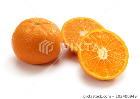 美國柑橘 W Marcotte 美國柑橘 W Marcotte 102400949