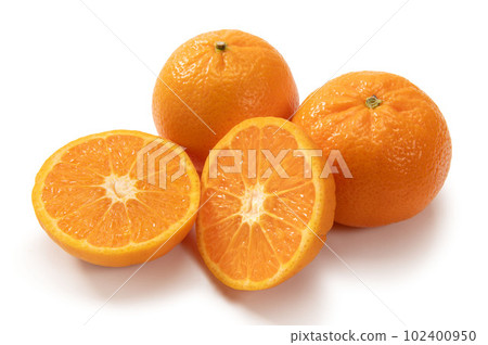 美國柑橘 W Marcotte 102400950