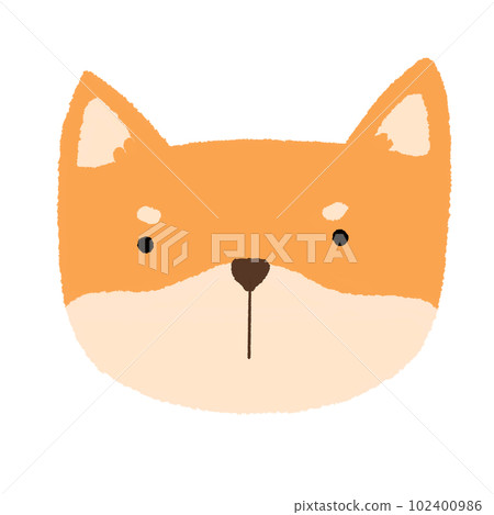 cute shiba inu dog 102400986