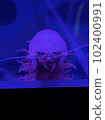 Gusokumushi 102400991