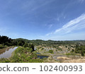 Rice paddy of Star Pass 102400993