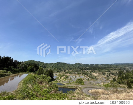 Rice paddy of Star Pass Rice paddy of Star Pass 102400993