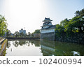 Toyama castle 102400994