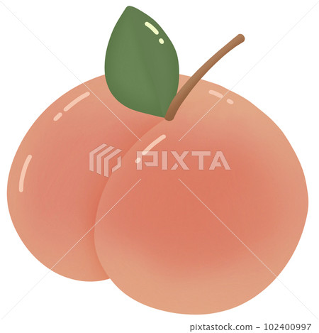 little cute peach peachy juicy fruit 102400997