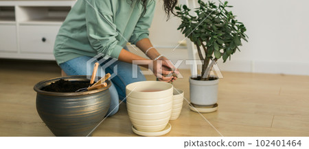 Smiling young woman and pot with plant happy work in indoor garden or cozy home office with different houseplants. Happy millennial female gardener or florist take care of domestic flower Smiling young woman and pot with plant happy work in indoor garden or cozy home office with different houseplants. Happy millennial female gardener or florist take care of domestic flower 102401464