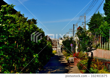 世田谷大田站和梅丘站之間的新開發區,從世田谷大田站西南口可以看到富士山 世田谷大田站和梅丘站之間的新開發區,從世田谷大田站西南口可以看到富士山 102401675