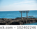 Torii torii 102402246