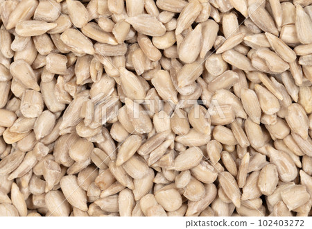 Heap of natural shelled sunflower seeds Heap of natural shelled sunflower seeds 102403272