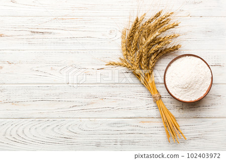 Flat lay of Wheat flour in wooden bowl with wheat spikelets on colored background. world wheat crisis Flat lay of Wheat flour in wooden bowl with wheat spikelets on colored background. world wheat crisis 102403972
