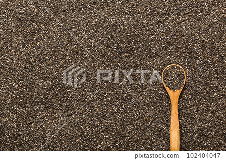 Space for text Texture of chia seeds with wooden spoon, superfood concept. Top view Space for text Texture of chia seeds with wooden spoon, superfood concept. Top view 102404047