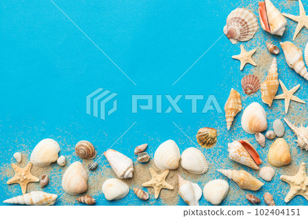 Summer time concept Flat lay composition with beautiful starfish and sea shells on colored table, top view 102404151