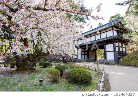 弘前城、染井吉野、日本最古老的天然紀念物、青森縣 弘前城、染井吉野、日本最古老的天然紀念物、青森縣 102404327
