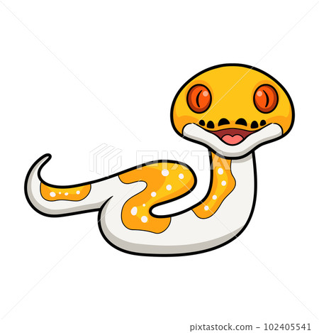 Cute albino pied reticulated python cartoon Cute albino pied reticulated python cartoon 102405541