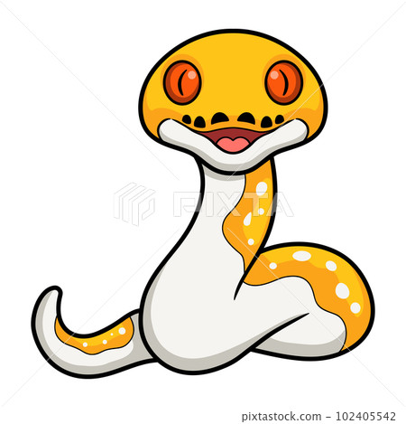 Cute albino pied reticulated python cartoon Cute albino pied reticulated python cartoon 102405542