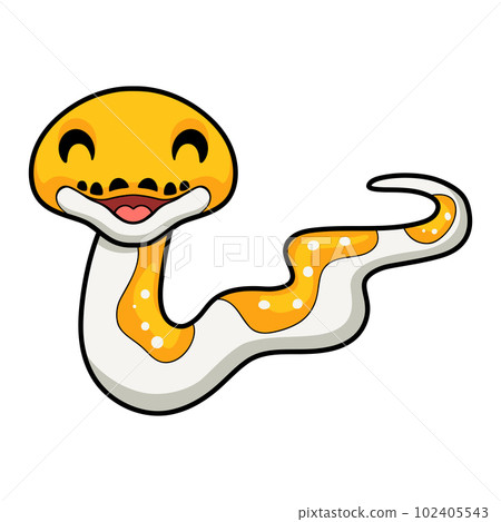 Cute albino pied reticulated python cartoon 102405543
