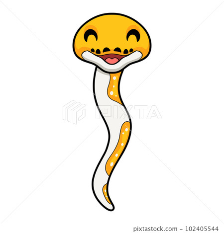 Cute albino pied reticulated python cartoon Cute albino pied reticulated python cartoon 102405544