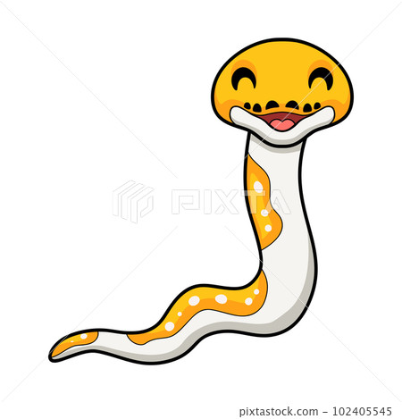 Cute albino pied reticulated python cartoon 102405545