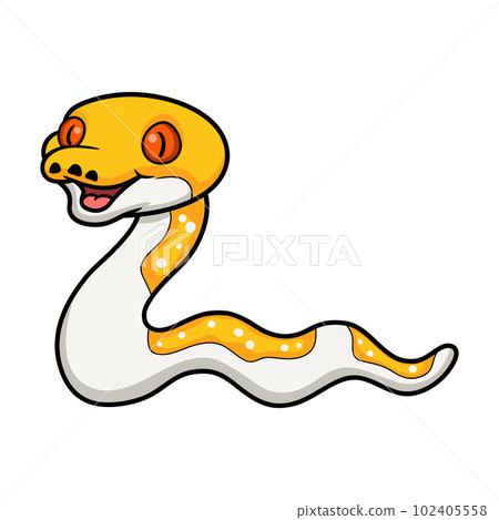 Cute albino pied reticulated python cartoon Cute albino pied reticulated python cartoon 102405558