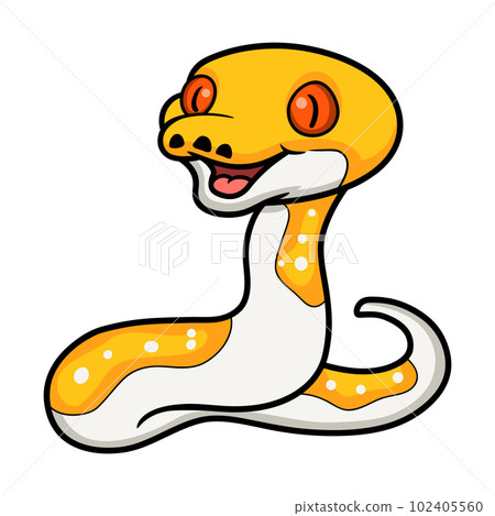 Cute albino pied reticulated python cartoon Cute albino pied reticulated python cartoon 102405560