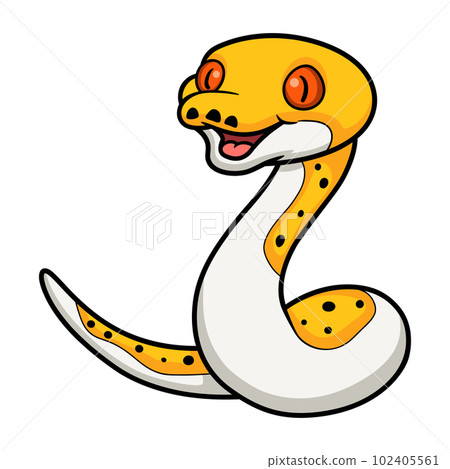 Cute albino pied reticulated python cartoon Cute albino pied reticulated python cartoon 102405561