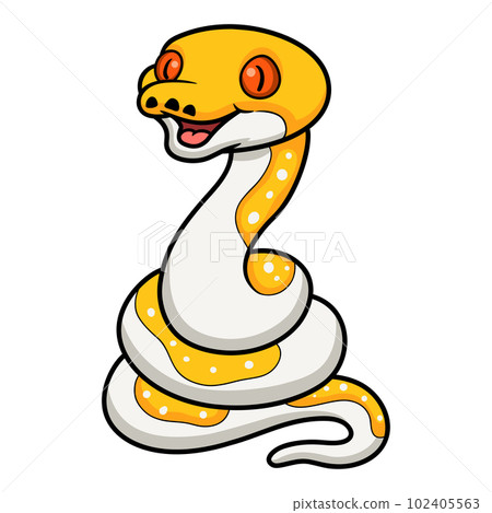 Cute albino pied reticulated python cartoon 102405563