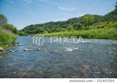 [初夏五月的中津川] 102405564
