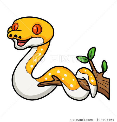 Cute albino pied reticulated python cartoon on tree branch 102405565