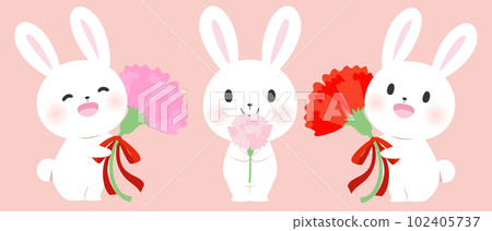 可愛兔子拿著康乃馨花,母親節可愛動物圖像 102405737