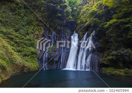 Oita Prefecture / Fresh green "Shiramizu Falls" Oita Prefecture / Fresh green "Shiramizu Falls" 102405994