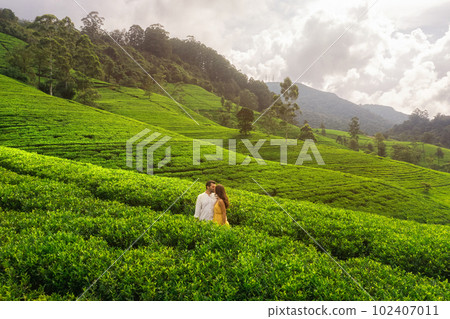 Aerial Drone View of Green Tea Plantations Landscape with Couple of Travelers in Love 102407011
