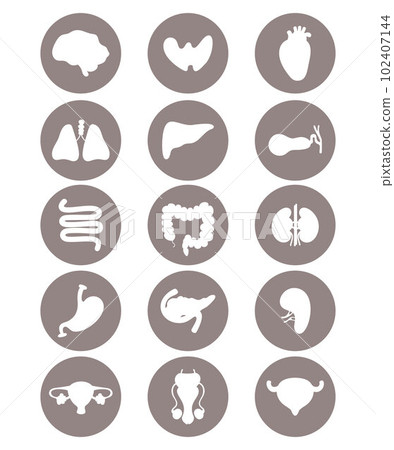 Set medical icons. Human internal organs. vector illustration. Anatomy concept. Isolated graphic drawings silhouettes in circle. Set medical icons. Human internal organs. vector illustration. Anatomy concept. Isolated graphic drawings silhouettes in circle. 102407144