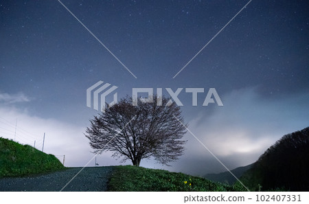 Starry sky and one cherry tree Nagano Prefecture Starry sky and one cherry tree Nagano Prefecture 102407331