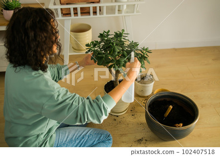 Woman grows potted plants at home watering and take care flowers - gardening and houseplant care concept Woman grows potted plants at home watering and take care flowers - gardening and houseplant care concept 102407518