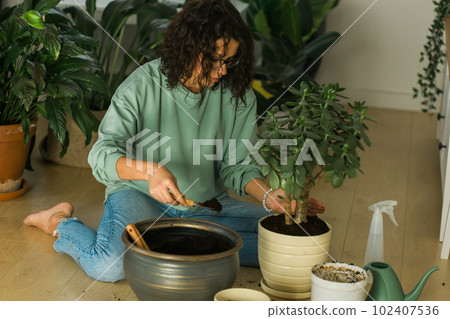 Woman grows potted plants at home watering and take care flowers - gardening and houseplant care concept Woman grows potted plants at home watering and take care flowers - gardening and houseplant care concept 102407536