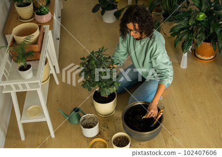 Woman grows potted plants at home watering and take care flowers - gardening and houseplant care concept Woman grows potted plants at home watering and take care flowers - gardening and houseplant care concept 102407606