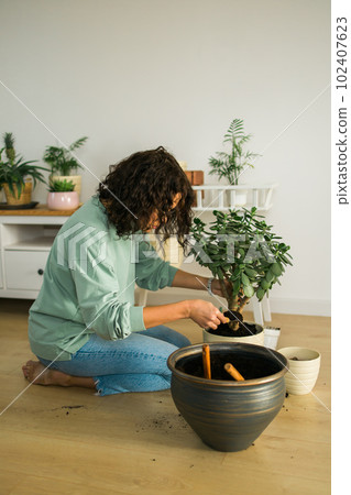 Woman grows potted plants at home watering and take care flowers - gardening and houseplant care concept Woman grows potted plants at home watering and take care flowers - gardening and houseplant care concept 102407623