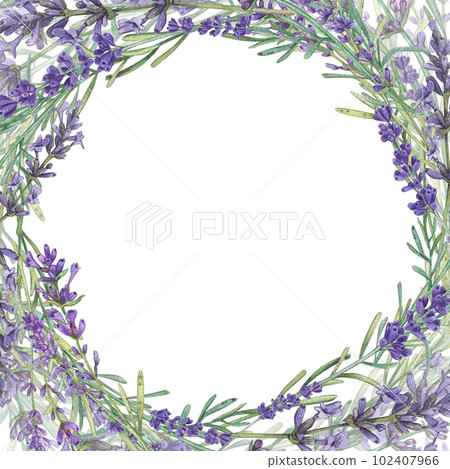 Square frame with lavender and a place for the text. Watercolor illustration of Provencal flowers. French style. Aromatherapy. Botanical illustration of flowers. Suitable for postcards, packages. 102407966