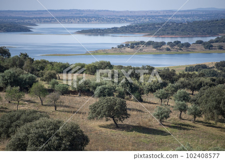 PORTUGAL ALENTEJO MOURA 102408577