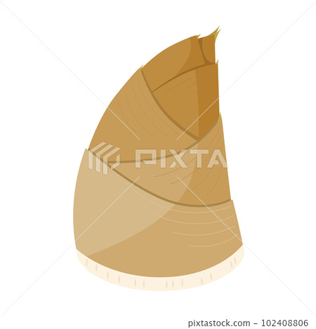 竹筍的矢量圖解。 102408806