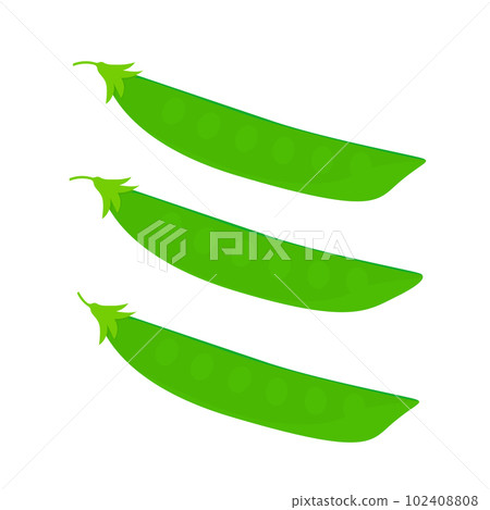 Vector illustration of Saya peas. 102408808