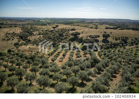 PORTUGAL ALENTEJO TERENA PORTUGAL ALENTEJO TERENA 102408934