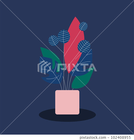 Home plants in pots Home plants in pots 102408955