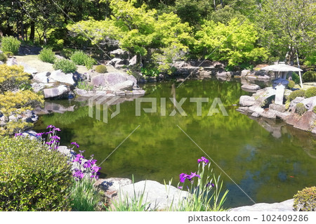 [Kagoshima Prefecture] Sengan-en (Shimadzu garden) 102409286