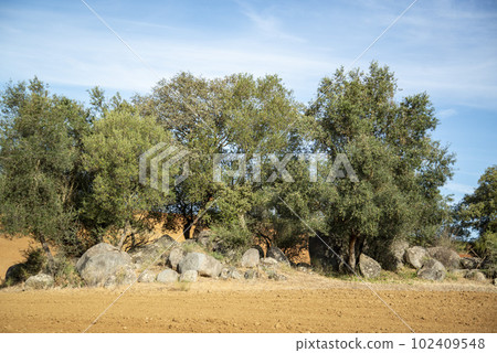 PORTUGAL ALENTEJO REGUENGOS 102409548