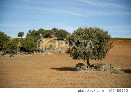 PORTUGAL ALENTEJO REGUENGOS 102409550