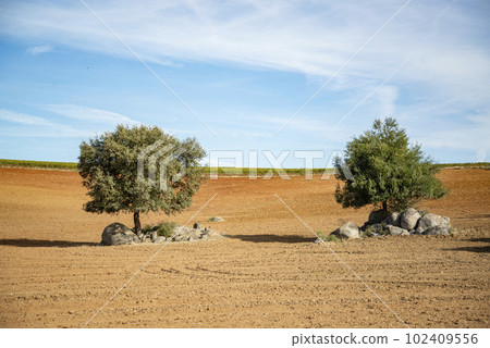 PORTUGAL ALENTEJO REGUENGOS 102409556